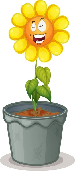Flower in the pot — Stock Vector