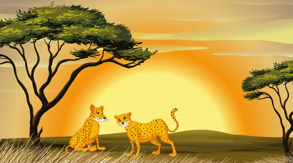 Μια λεοπάρδαλη κάτω από δέντρο — Διανυσματικό Αρχείο