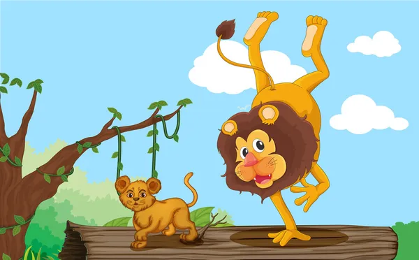 Ein Löwe und Junges — Stockvektor