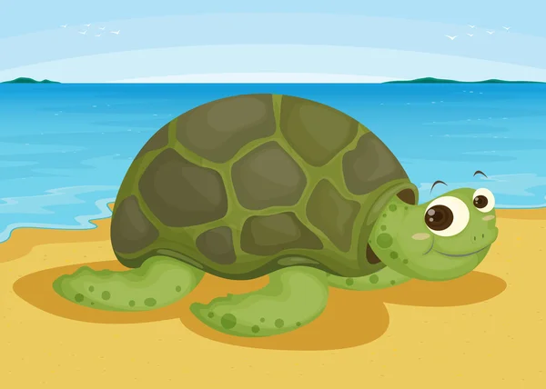Χελώνα στην ακτή της θάλασσας — Διανυσματικό Αρχείο