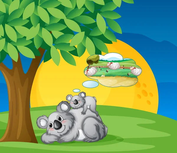 White bears Stock Illustration