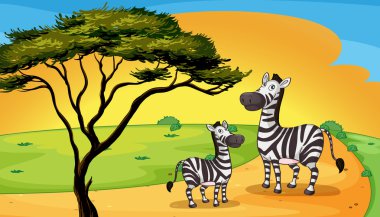 two zebra under tree clipart