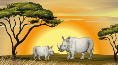 rhinocerous clipart