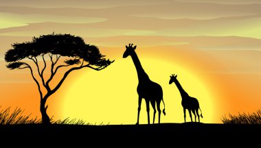 Giraffe in a beautiful nature clipart