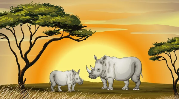 Mowy nosorożców — Wektor stockowy