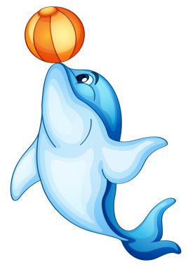 Dolphin clipart