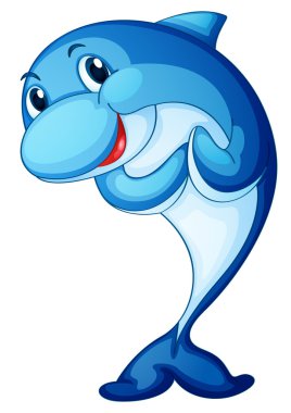 Dolphin clipart