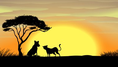 Sunset in africa clipart