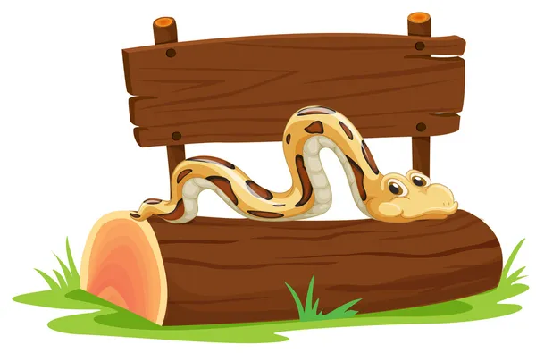 Art af slange – Stock-vektor