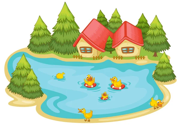 小鸭在池塘中 — 图库矢量图片