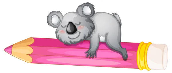睡在铅笔上的熊 — 图库矢量图片