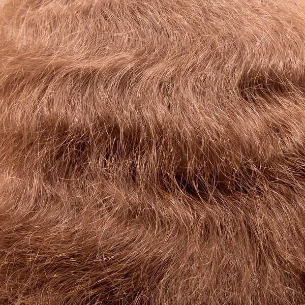 Dlouhé hnědé vlasy — Stock fotografie