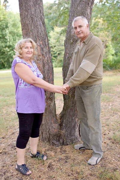 幸せな高齢者高齢者のカップル — ストック写真