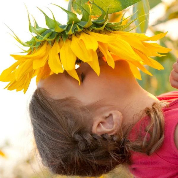 Miminko vonící velké slunečnice — Stock fotografie