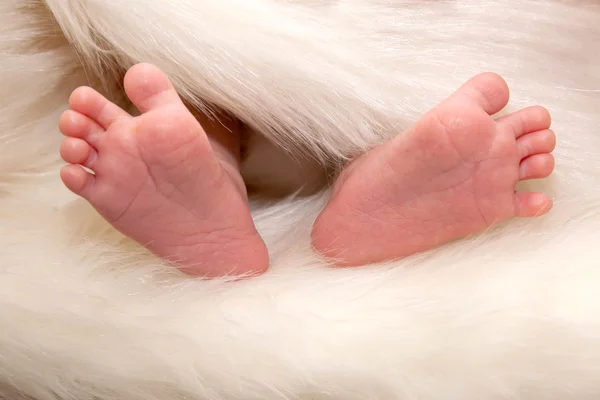 小さな繊細なピンク生まれたばかりの赤ちゃんの足, — ストック写真