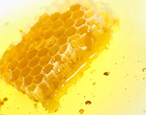 Поток медовых сот — стоковое фото