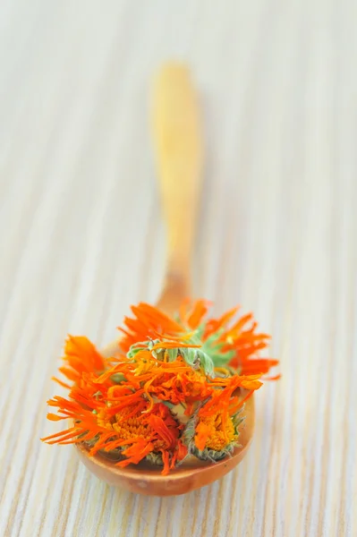 Kadife çiçeği bitki çayı — Stok fotoğraf