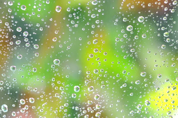 Drops of rain on the glass