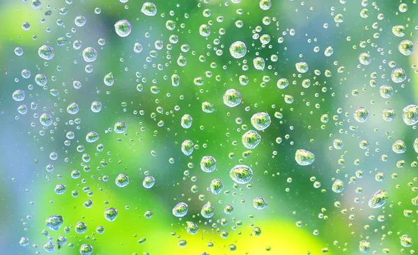 Droppar regn på glaset — Stockfoto