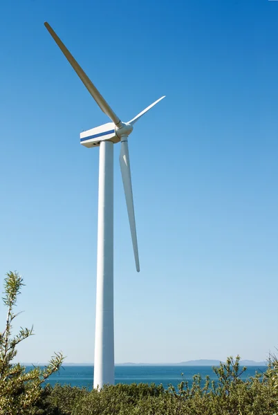 Turbina eolica costiera singola — Foto Stock