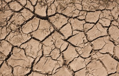 Drought clipart