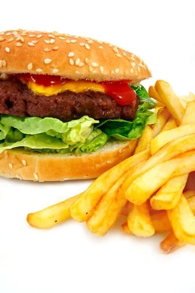 Cheeseburger artesanal com batatas fritas — Fotografia de Stock