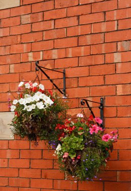 Hanging baskets clipart