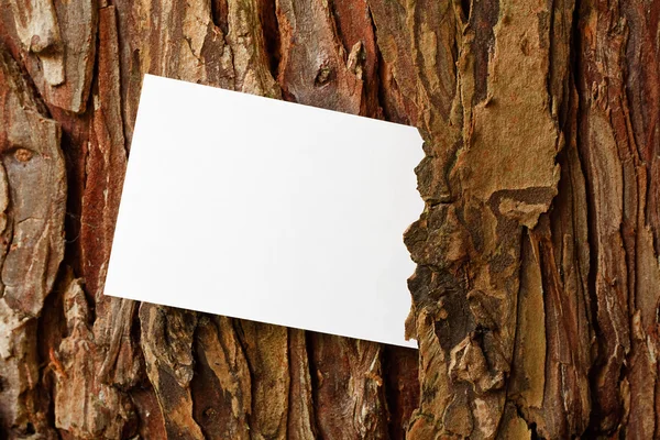 Rustik trädet bark gränsen — Stockfoto