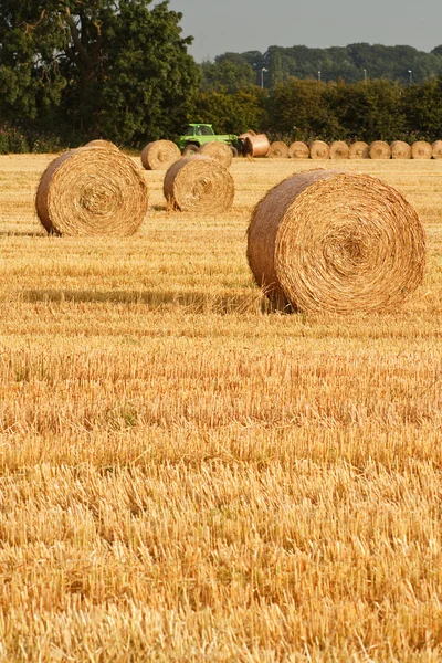 stock image Circular Straw Bales