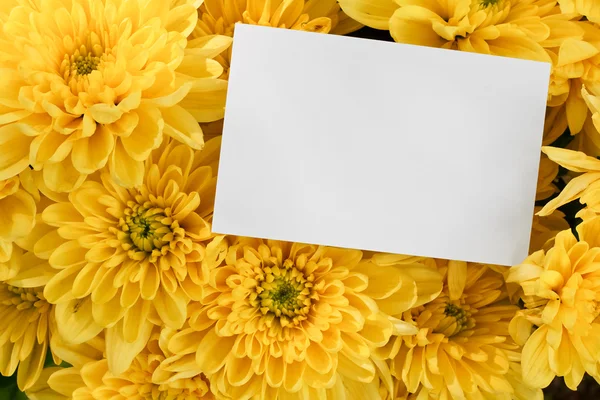 Chrysanthemum bouquet with copy space — Stock Photo, Image