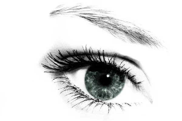 Green eye Royalty Free Stock Images
