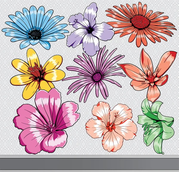 Renkli çiçekler seti — Stok Vektör