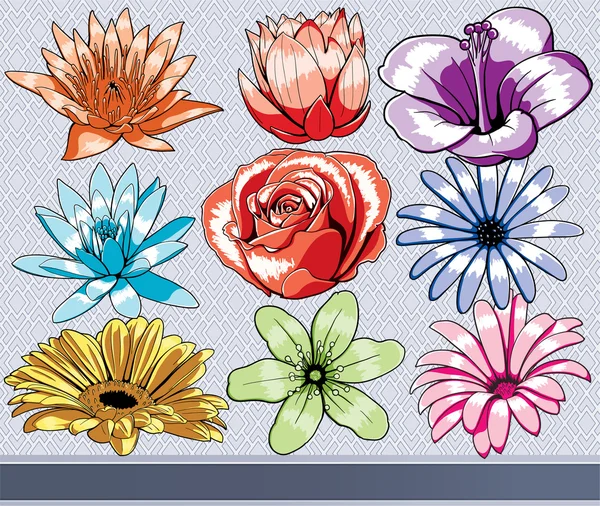 Conjunto de flores coloridas — Vector de stock