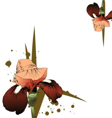 çiçekli grunge ile