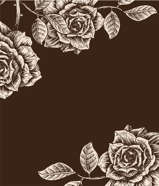 Vintage floral background — Stock Vector