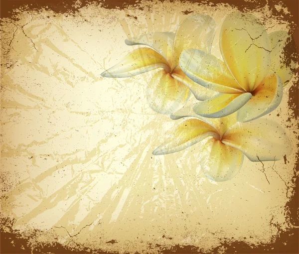 ビンテージ花の背景 — ストックベクタ