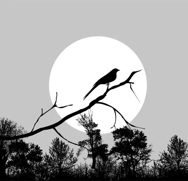 Pájaro en una rama — Archivo Imágenes Vectoriales