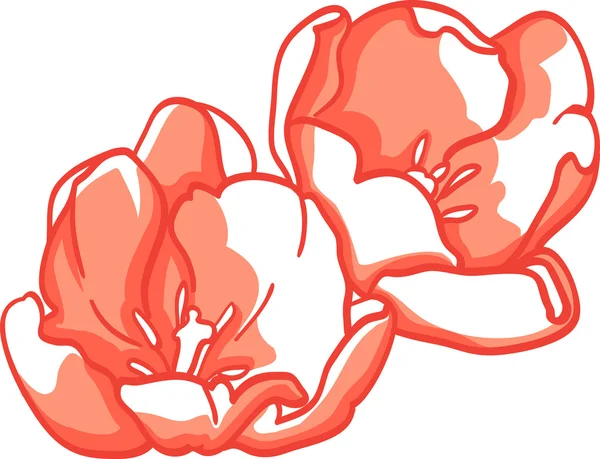 Fleur de tulipe — Image vectorielle