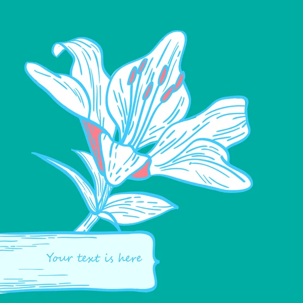Lily kartı — Stok Vektör