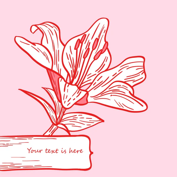 Carte Lily — Image vectorielle