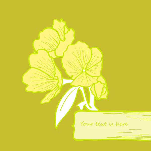 Cartão Flor — Vetor de Stock