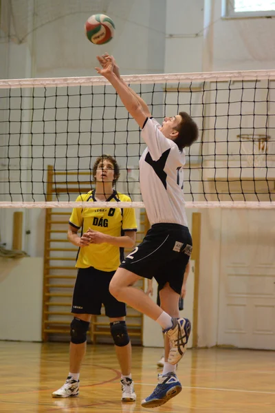 stock image Junior volleyball game