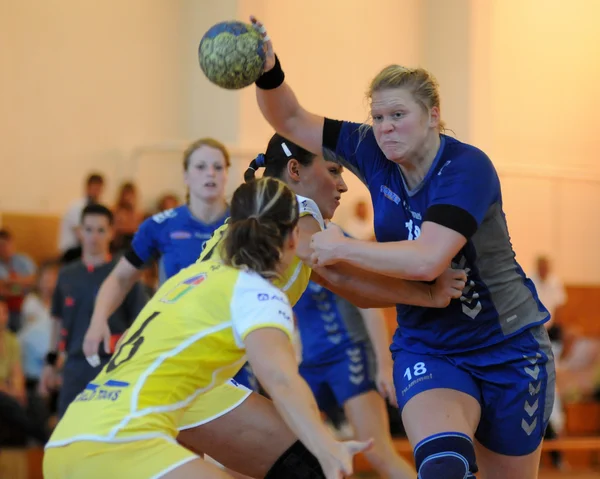 stock image Feherep - Sparvagen handball game