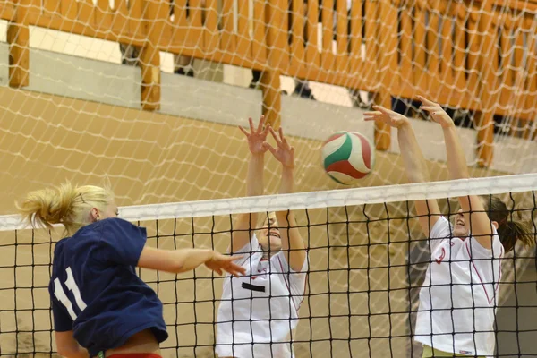 Ungersk junior volleyboll champinship — Stockfoto