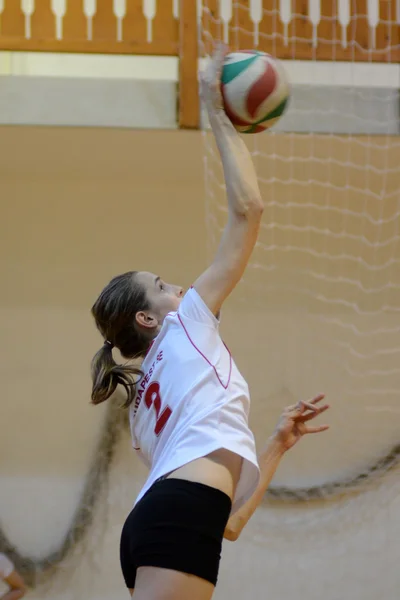 Hongaarse junior volleybal champinship — Stockfoto