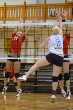 Macar gençler Voleybol champinship