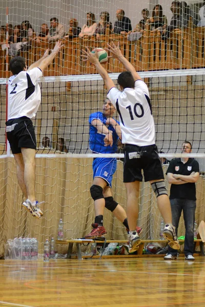 Hungarian junior volleyball championship — Stock Photo, Image