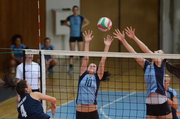 Kaposvar - Palota-Volleyball-Spiel — Stockfoto