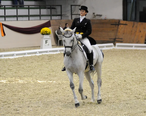 stock image Dressage World Cup Competition