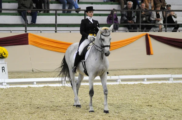Dressage World Cup Competition — Stock Photo, Image